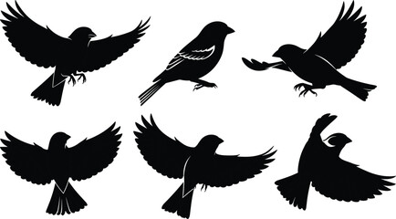 Six Black Bird Silhouettes in Flight, Various Wing Positions and Feather Details, Ideal for Nature, Wildlife, and Graphic Design Themes