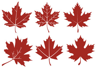 Fototapeta premium Red Maple Leaf Vector Set - Autumn Fall Foliage Collection Seasonal Nature Design Elements