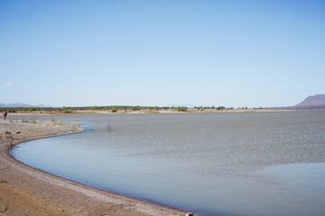 The shores of Elephant Butte Reservoir under a clear blue sky in New Mexico