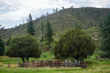 Tree covered hill and meadow in Lincoln National Forest in Capitan, New Mexico, charred and damaged by wildfires with a stack of picnic tables, kept away from the fire's range