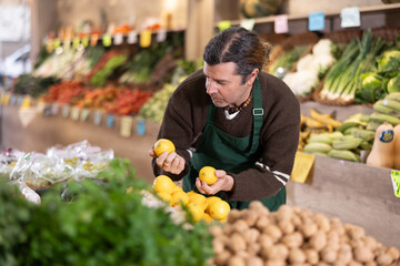 Man shop assistant puts ripe lemon fruits in box on display case, arranges assortment in vegetable shop. Worker puts vegetables in pile, in pyramid. Male employee makes attractive display case