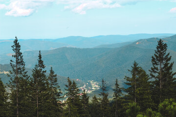 Scenic view of mountains and valley with evergreen trees on a sunny day