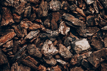 Detailed view of stacked firewood showcasing natural textures and colors in daylight
