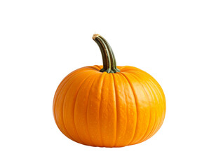 Obraz premium Pumpkin isolated on transparent background
