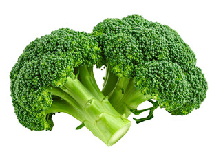 Fresh broccoli floret isolated on transparent background