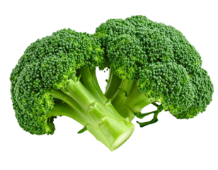 Fresh broccoli floret isolated on transparent background