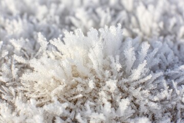 Close-up of frost crystals
