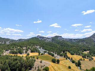 Fototapeta premium Scenic view of Asarlık Hills in Nallıhan, Ankara, featuring lush forests, golden fields, and rocky peaks under a bright blue sky. A perfect representation of Turkey's diverse natural landscapes.