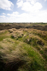 D&uuml;nenlandschaft an der Nordsee