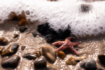 Sandstrand mit Wasser und Muscheln