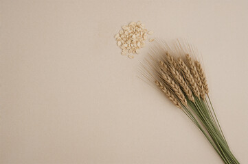 Bundle of golden wheat stalks and scattered rolled oats on textured beige surface with warm earthy tones in flat lay