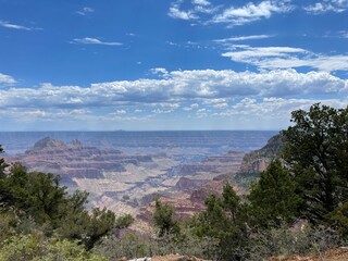 Naklejka premium grand canyon national park