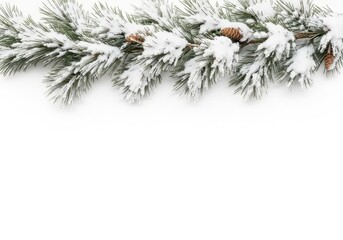 Snow-dusted pine branch with cones creating a festive Christmas border