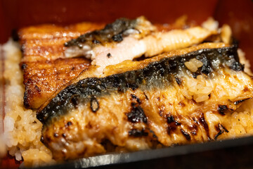 Japanese Grilled Eel (Unagi) on Rice in Lacquer Box