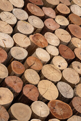 Beautifully stacked and accommodated cut wood pattern