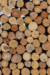 Beautifully stacked and accommodated cut natural wood pattern