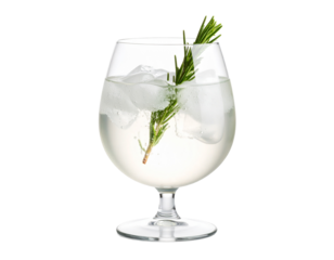 Gin and Tonic in balloon glass with rosemary sprig
