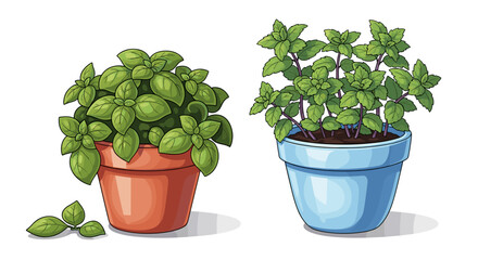 Potted Herb Plants: Basil and Mint in Colorful Containers