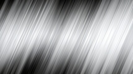 Black and white image of a long, thin line with a white background. The line is made up of many small, thin lines that are almost invisible. The image has a very minimalist
