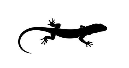 Object black silhouette of a lizard vector illustration reptile animal graphic design wildlife nature isolated on white vector