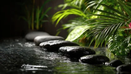 Fototapete Toilette Tranquil stepping stones path across dark water, nestled amongst lush, vibrant tropical foliage  © artwiyanastudio