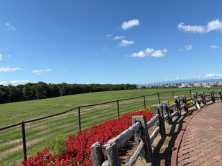 さっぽろ羊ヶ丘展望台の景色