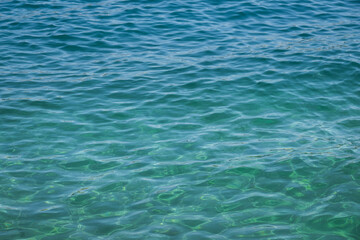 The sea water looks clean and clear. seashore. 
