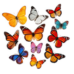Colorful butterflies fluttering, tropical garden, nature, vibrant wings, poster design