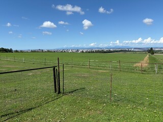 さっぽろ羊ヶ丘展望台の景色