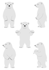 立ち上がる白熊の子どものイラストのセット
