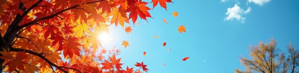 Autumn leaves descend against a vibrant blue sky, sunlight illuminating vibrant foliage , red, crisp, season