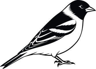 Stylized black and white bird illustration