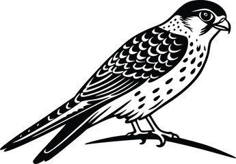 Stylized black and white illustration of a falcon perched