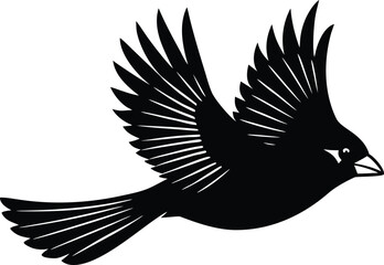 Black silhouette of a bird in flight with detailed wings and tail