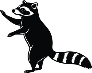 Black and white raccoon standing and waving