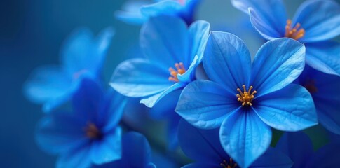 Close-up of vibrant blue petals, delicate texture , image, macro photography