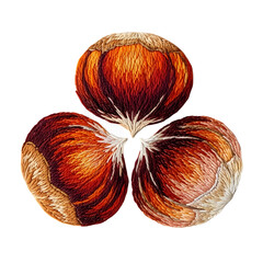 Vibrant hazelnuts arranged in a natural cluster, perfect for autumn themes - Embroidered Texture