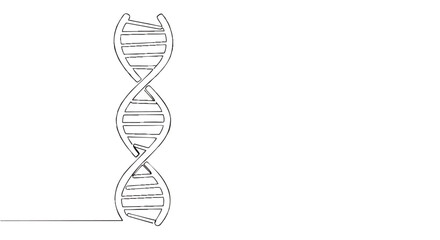 Continuous one-line drawing of a DNA double helix. Minimalist scientific illustration of a genetic spiral molecule.