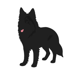 Swedish Elkhound Illustration
