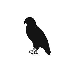 Swainson's Hawk Silhouette