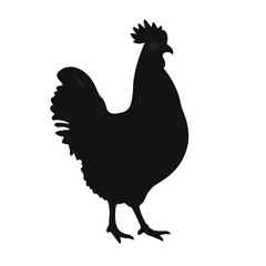 Sussex Chicken Farm Animal