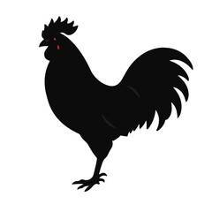  Sultan-Chicken-Animal-Icon-6.svg