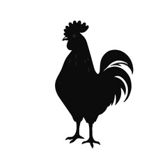 Sultan Chicken Animal