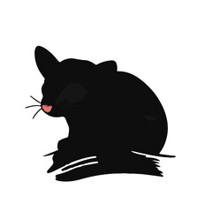 Sugar Glider Critter