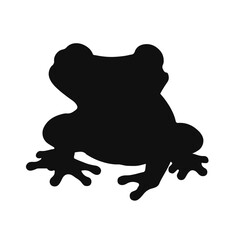 Obraz premium Striped Rocket Frog