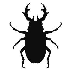 Fototapeta premium Stag Beetle Illustration