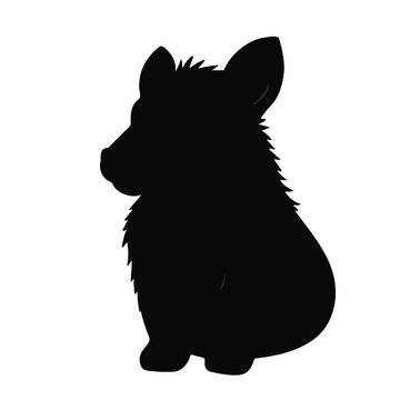 Stabyhoun Black Canine