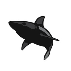 Obraz premium Shark Spinner