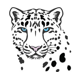 Obraz premium Snow Leopard Illustration