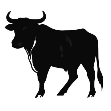 Senepol Cattle Characterization